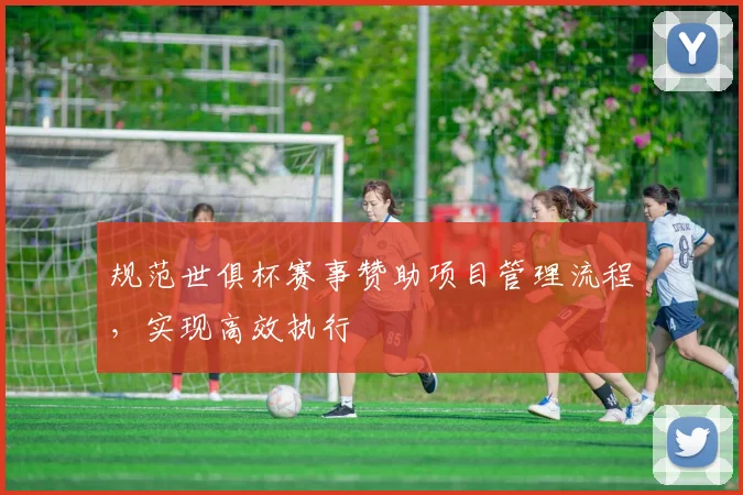 规范世俱杯赛事赞助项目管理流程，实现高效执行
