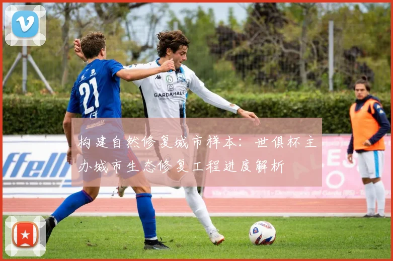 构建自然修复城市样本：世俱杯主办城市生态修复工程进度解析