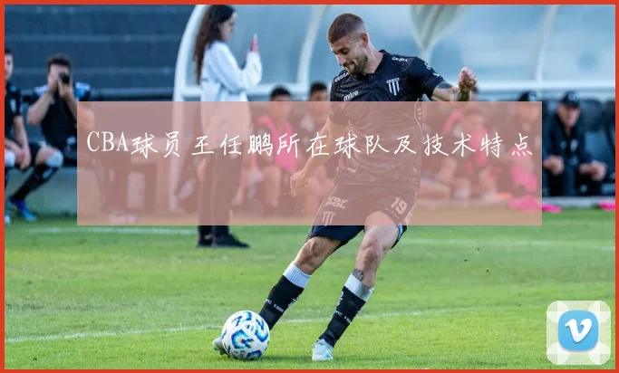 CBA球员王任鹏所在球队及技术特点