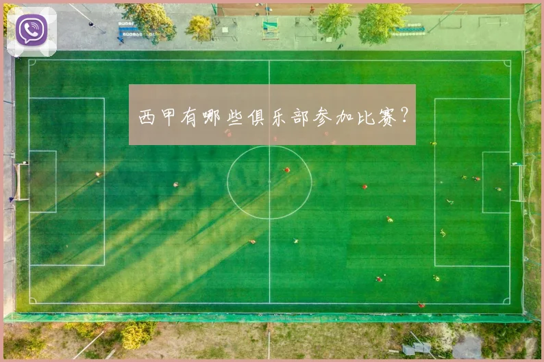 西甲有哪些俱乐部参加比赛？