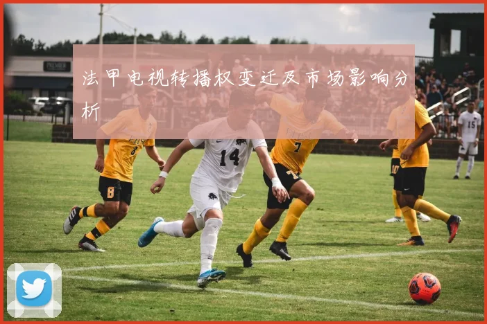 法甲电视转播权变迁及市场影响分析
