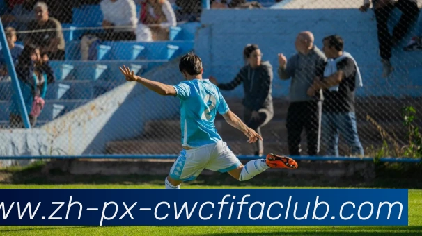 世界杯竞猜平台生态图