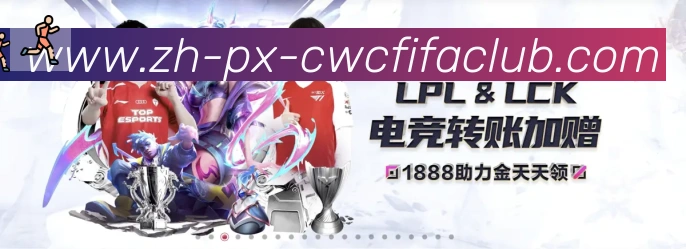 企业概况