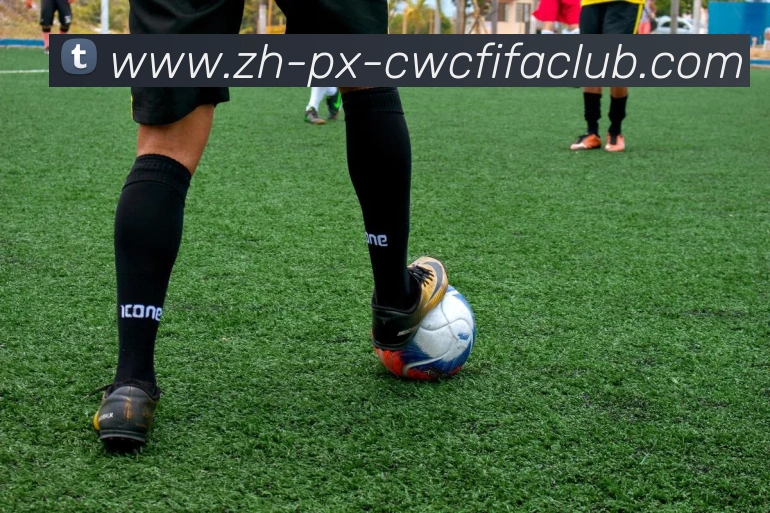 辅助工具 辅助工具