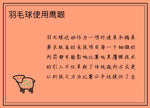 羽毛球使用鹰眼