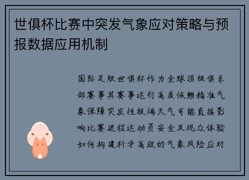 世俱杯比赛中突发气象应对策略与预报数据应用机制